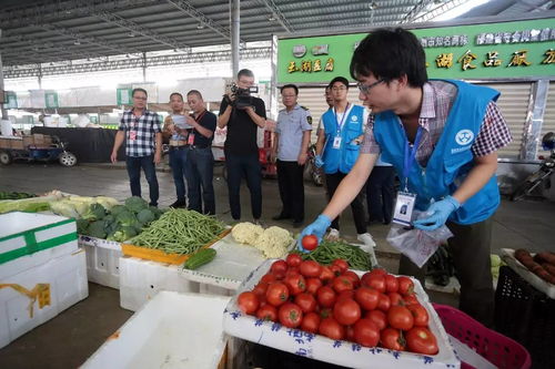 人大代表政協(xié)委員現(xiàn)場(chǎng)見證，食用農(nóng)產(chǎn)品抽檢合格率百分百的背后