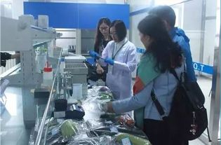 李忠副局長(zhǎng)率隊(duì)調(diào)研供深食用農(nóng)產(chǎn)品安全與研發(fā)工作，筑牢市民“舌尖上的防線”